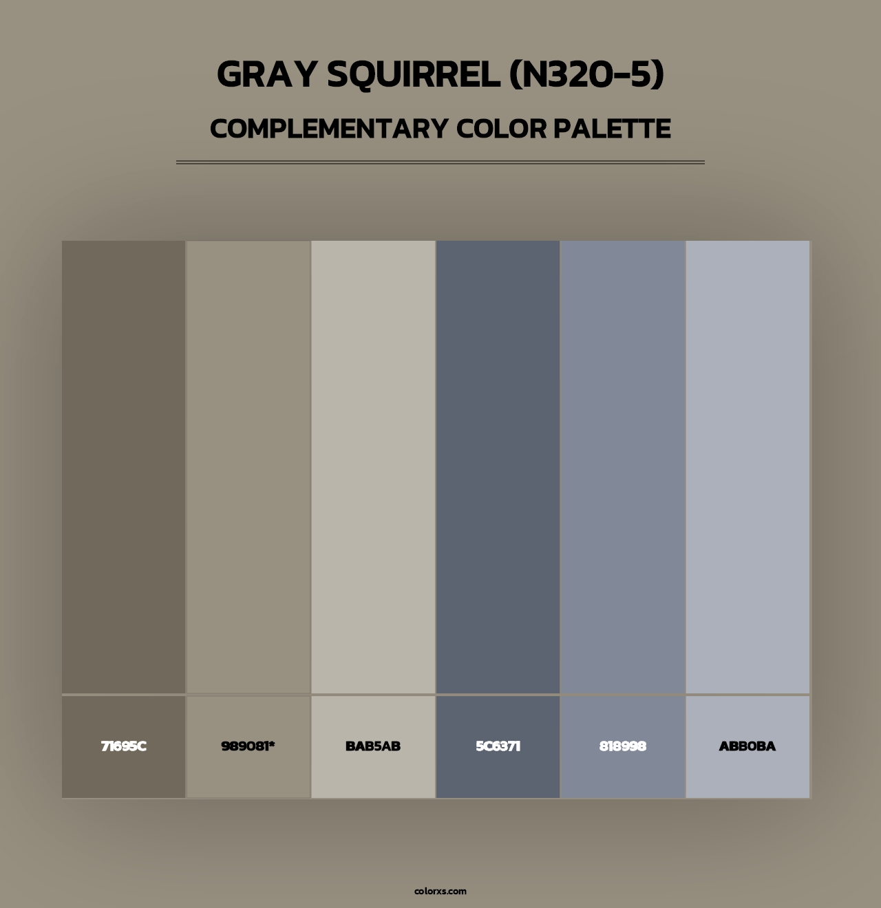 Gray Squirrel (N320-5) - Complementary Color Palette