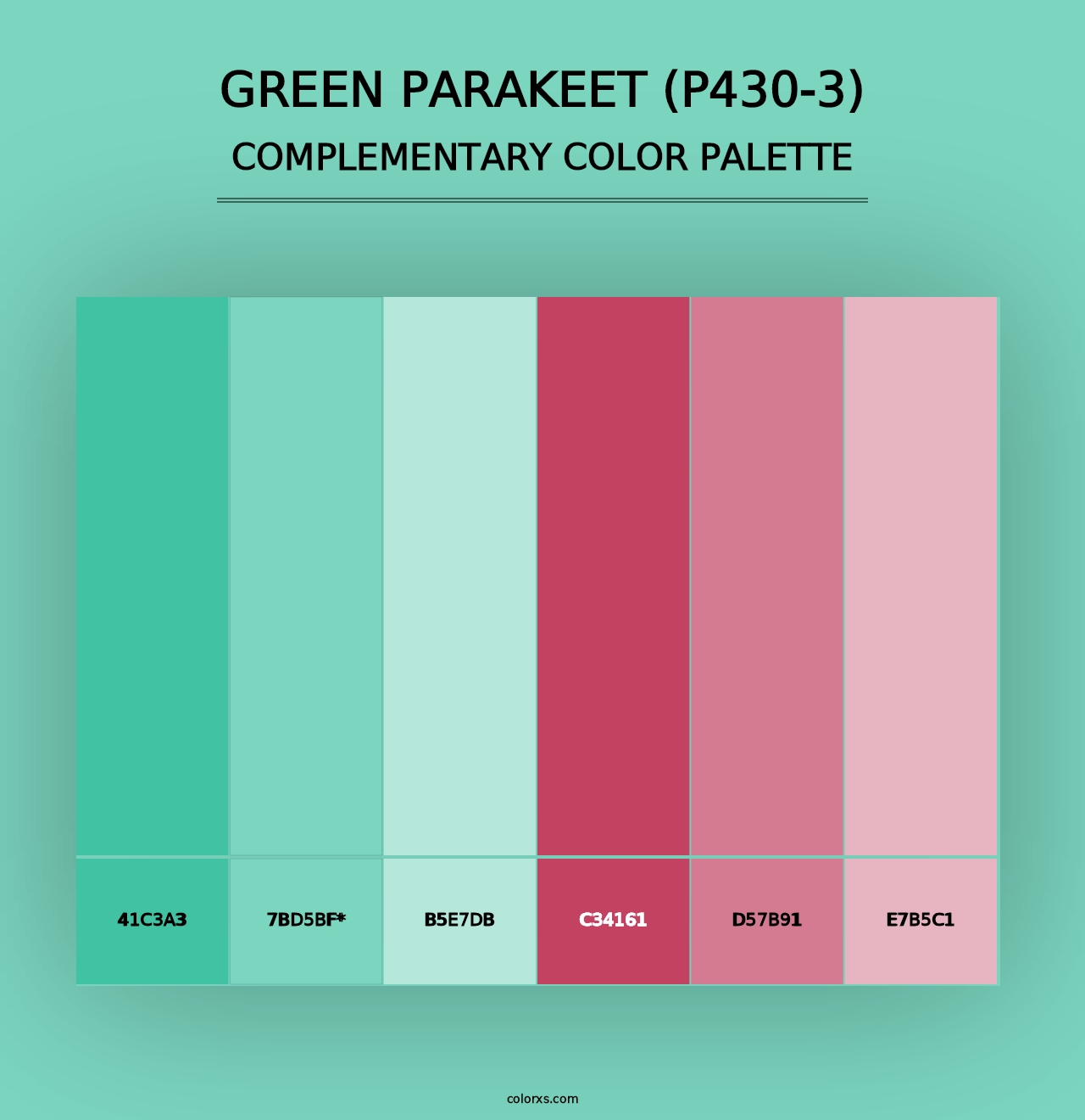 Green Parakeet (P430-3) - Complementary Color Palette