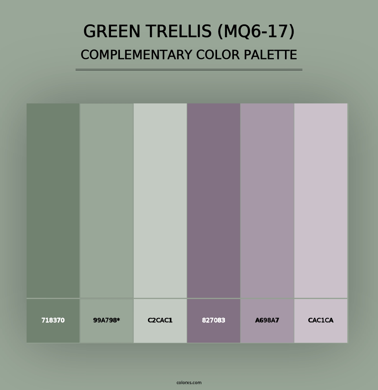 Green Trellis (MQ6-17) - Complementary Color Palette