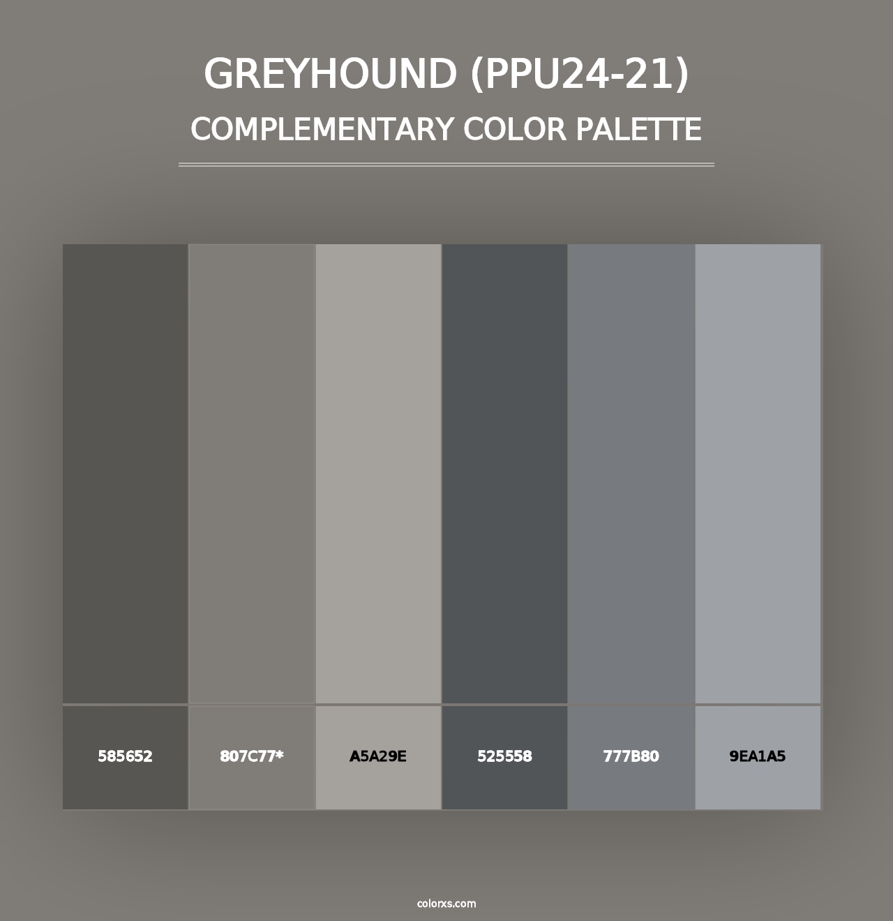 Greyhound (PPU24-21) - Complementary Color Palette