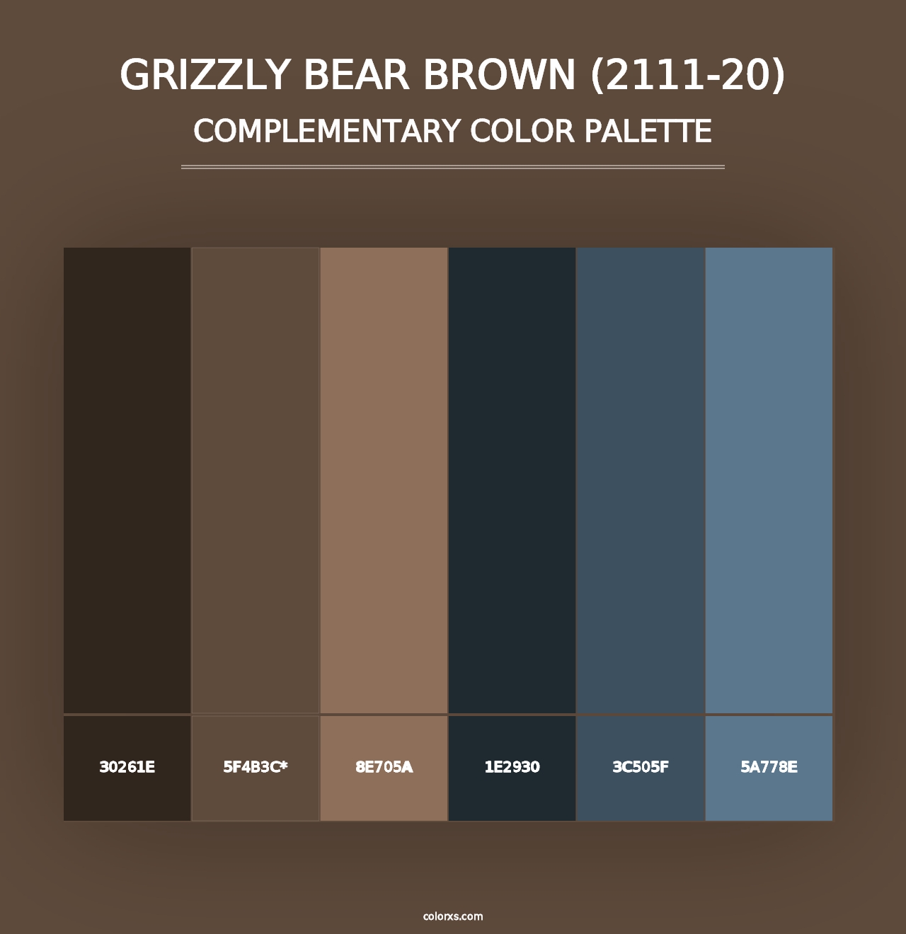 Grizzly Bear Brown (2111-20) - Complementary Color Palette