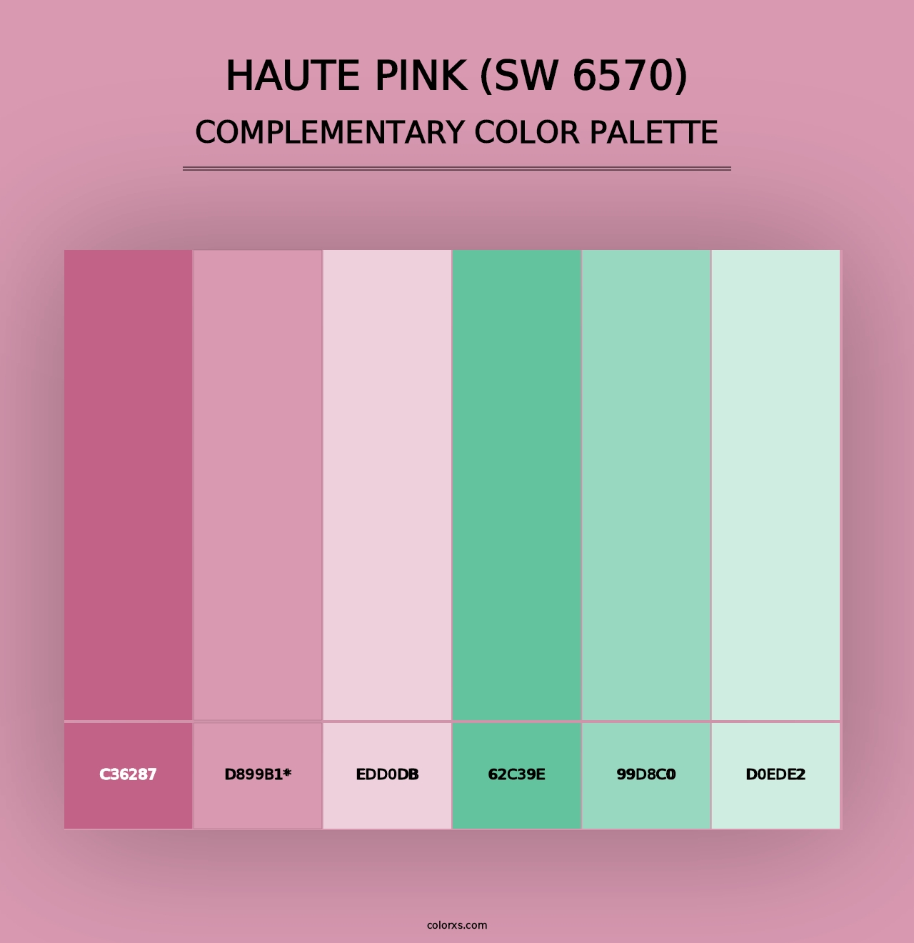 Haute Pink (SW 6570) - Complementary Color Palette