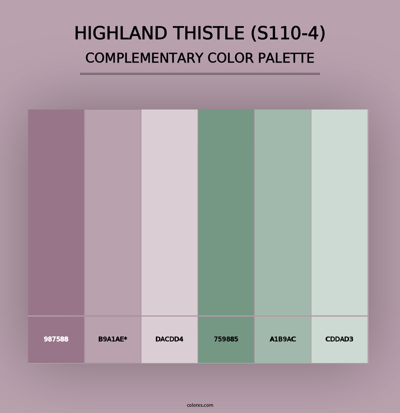 Highland Thistle (S110-4) - Complementary Color Palette