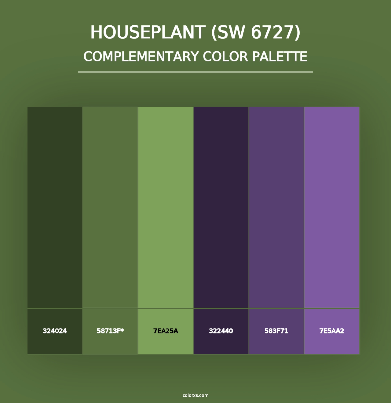 Houseplant (SW 6727) - Complementary Color Palette