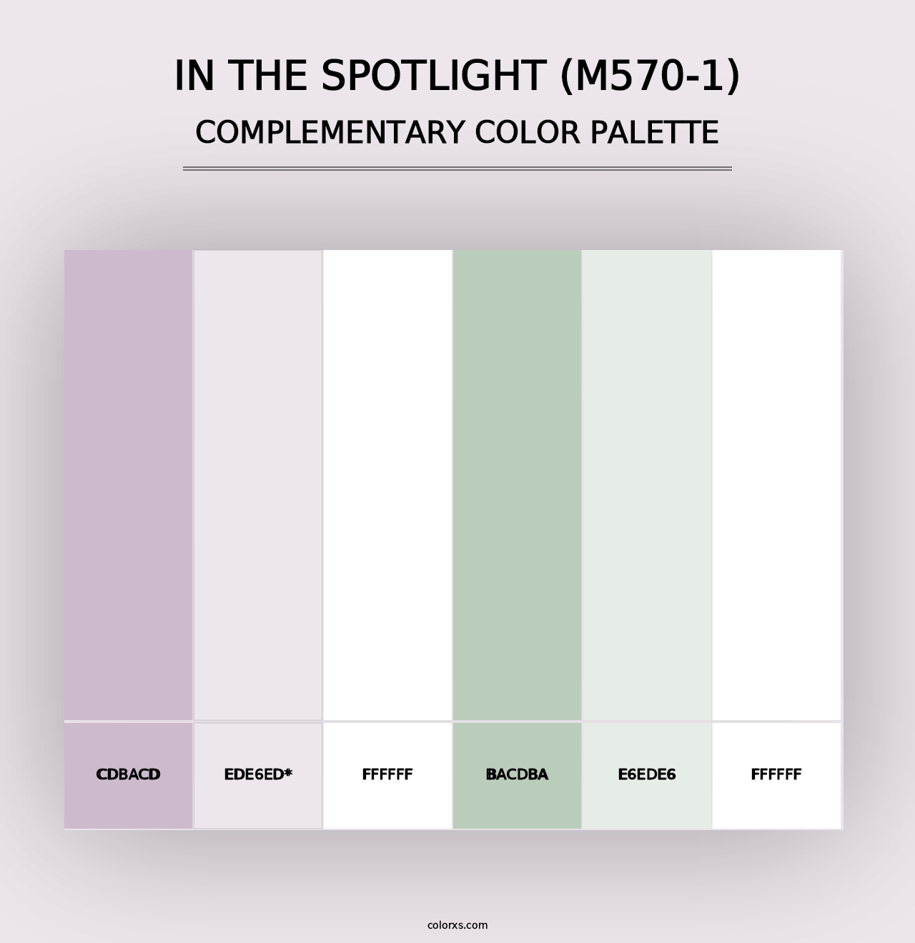 In The Spotlight (M570-1) - Complementary Color Palette