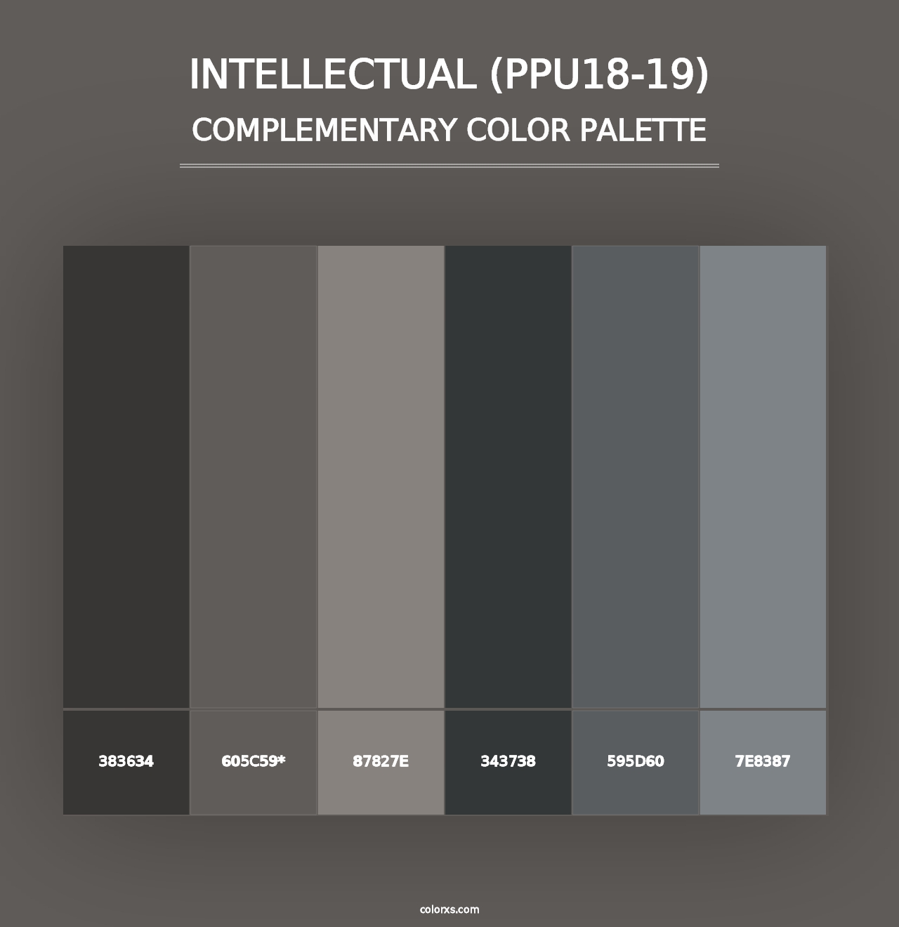 Intellectual (PPU18-19) - Complementary Color Palette