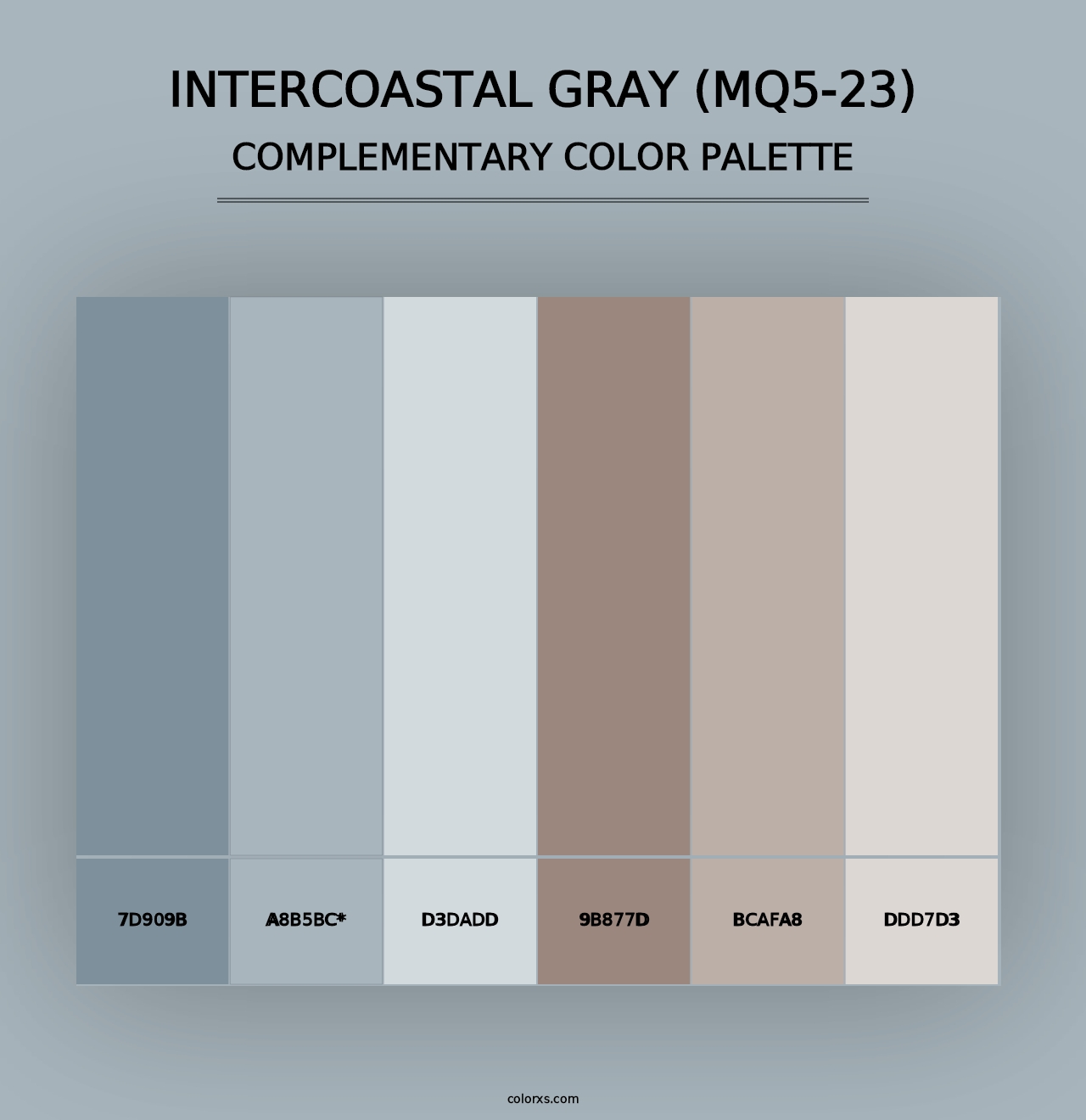 Intercoastal Gray (MQ5-23) - Complementary Color Palette