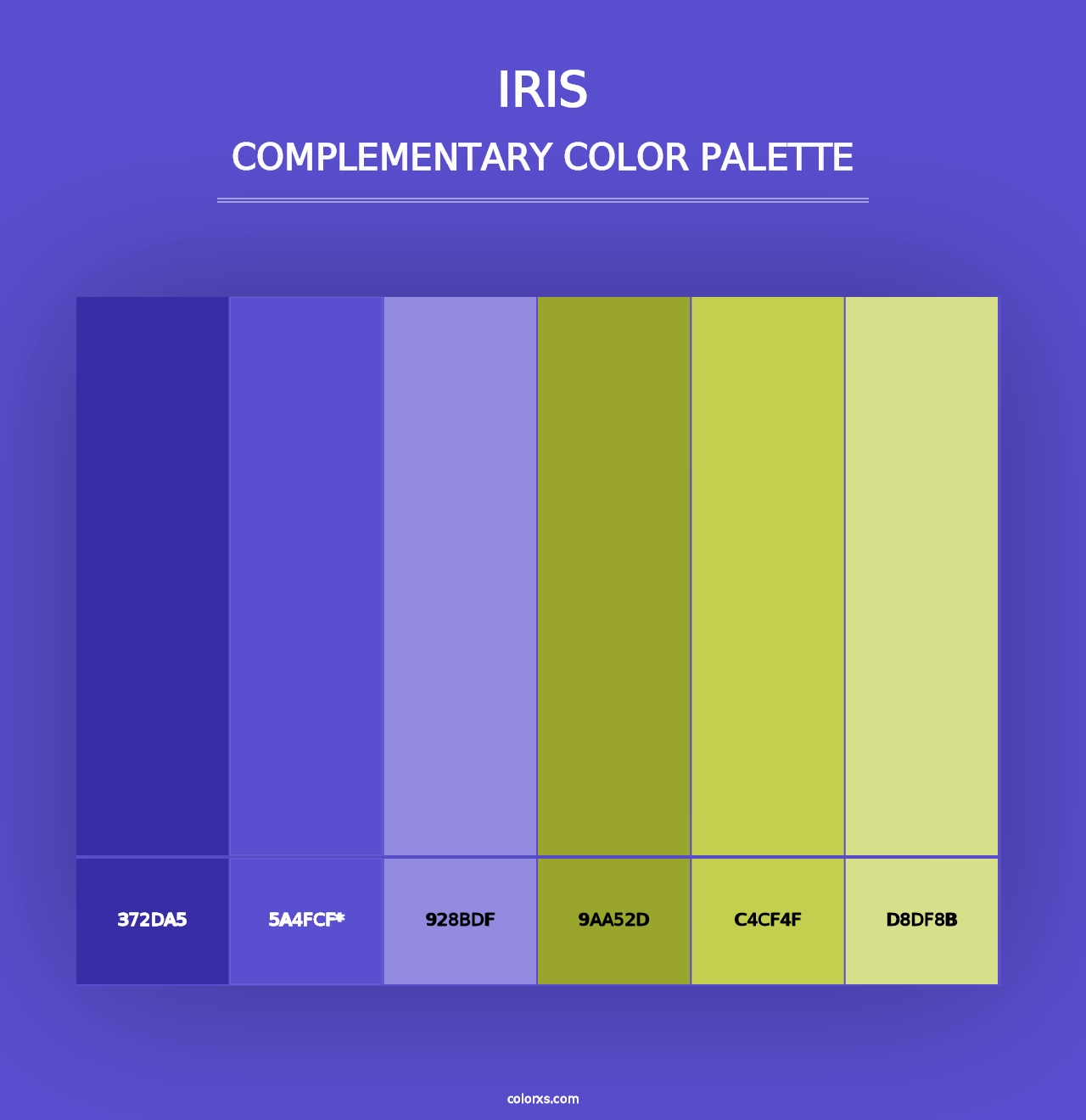 Iris - Complementary Color Palette