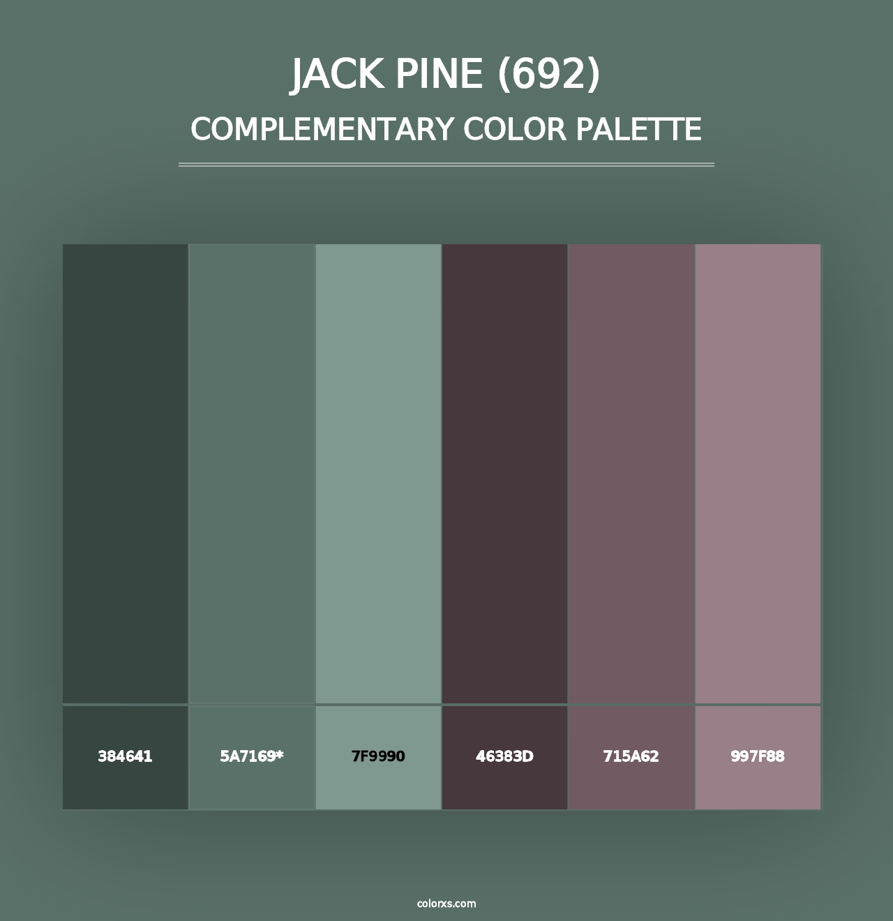 Jack Pine (692) - Complementary Color Palette