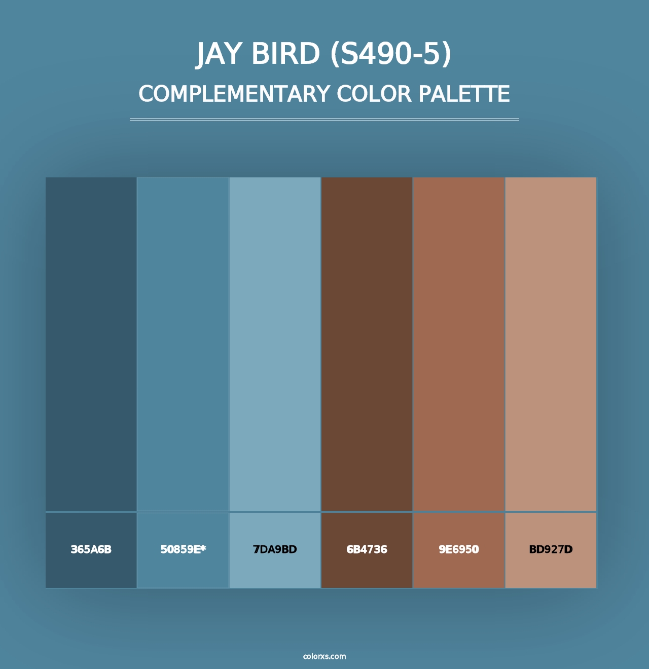 Jay Bird (S490-5) - Complementary Color Palette