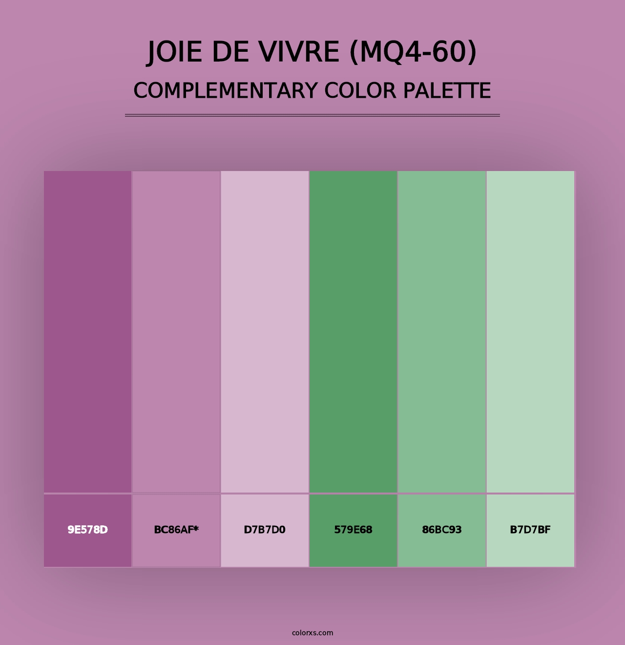 Joie De Vivre (MQ4-60) - Complementary Color Palette