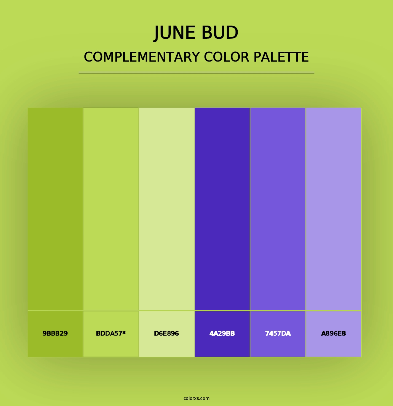 June Bud - Complementary Color Palette