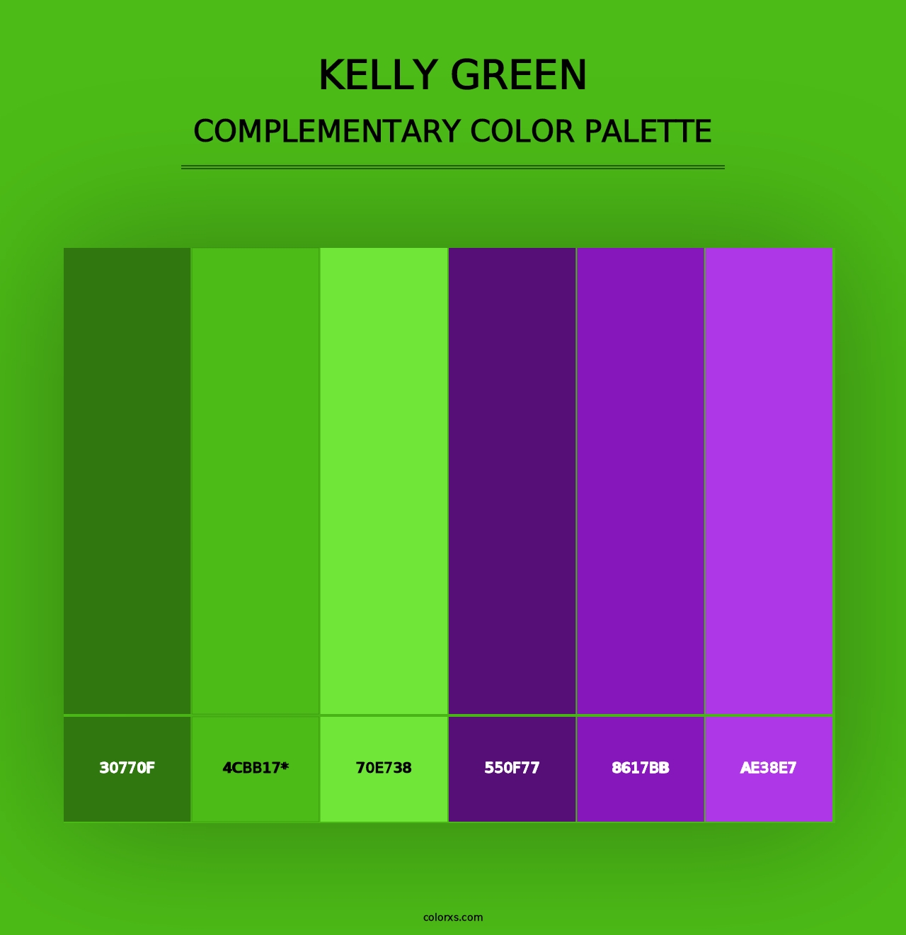 Kelly Green - Complementary Color Palette