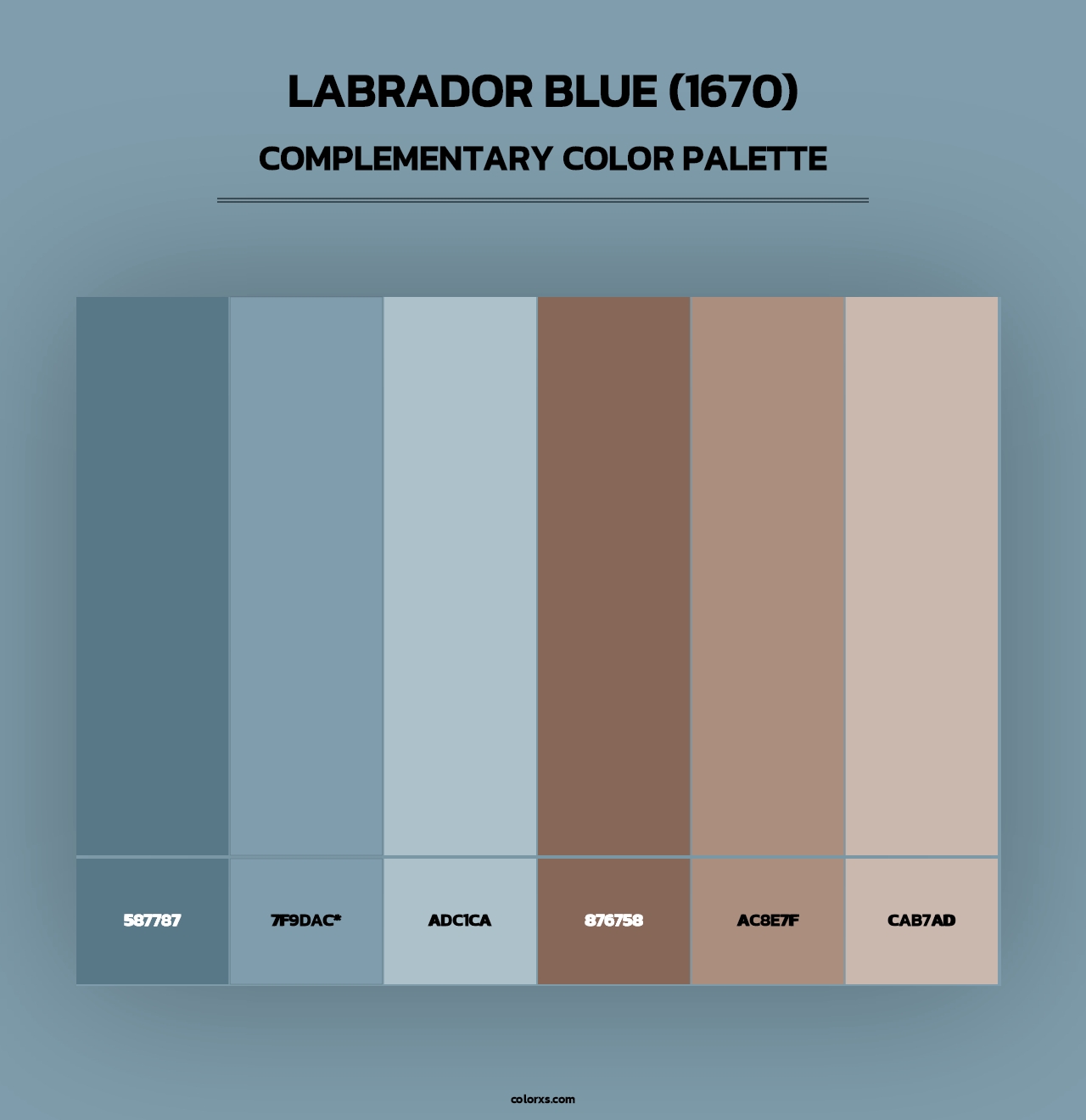 Labrador Blue (1670) - Complementary Color Palette