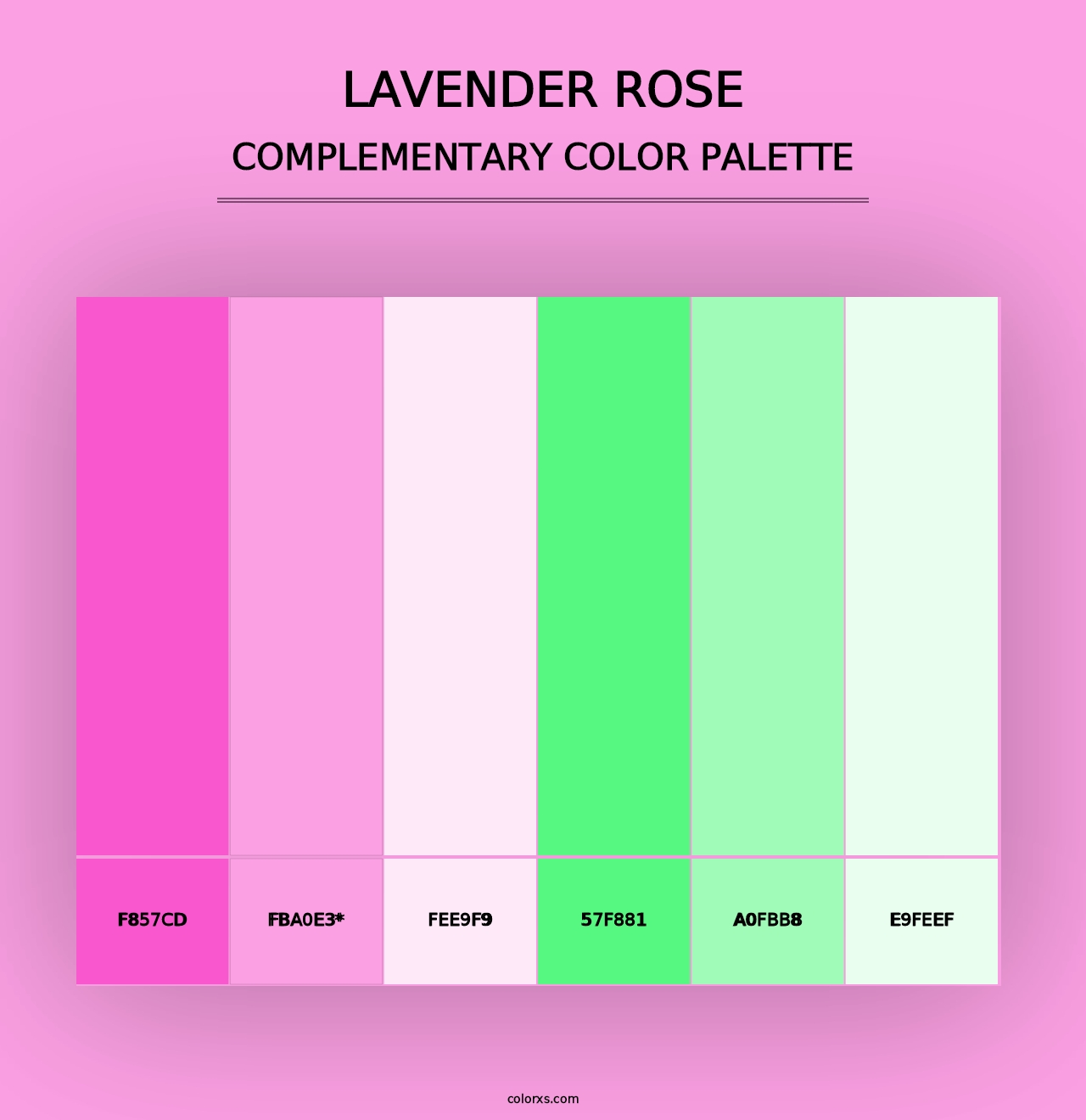 Lavender Rose - Complementary Color Palette