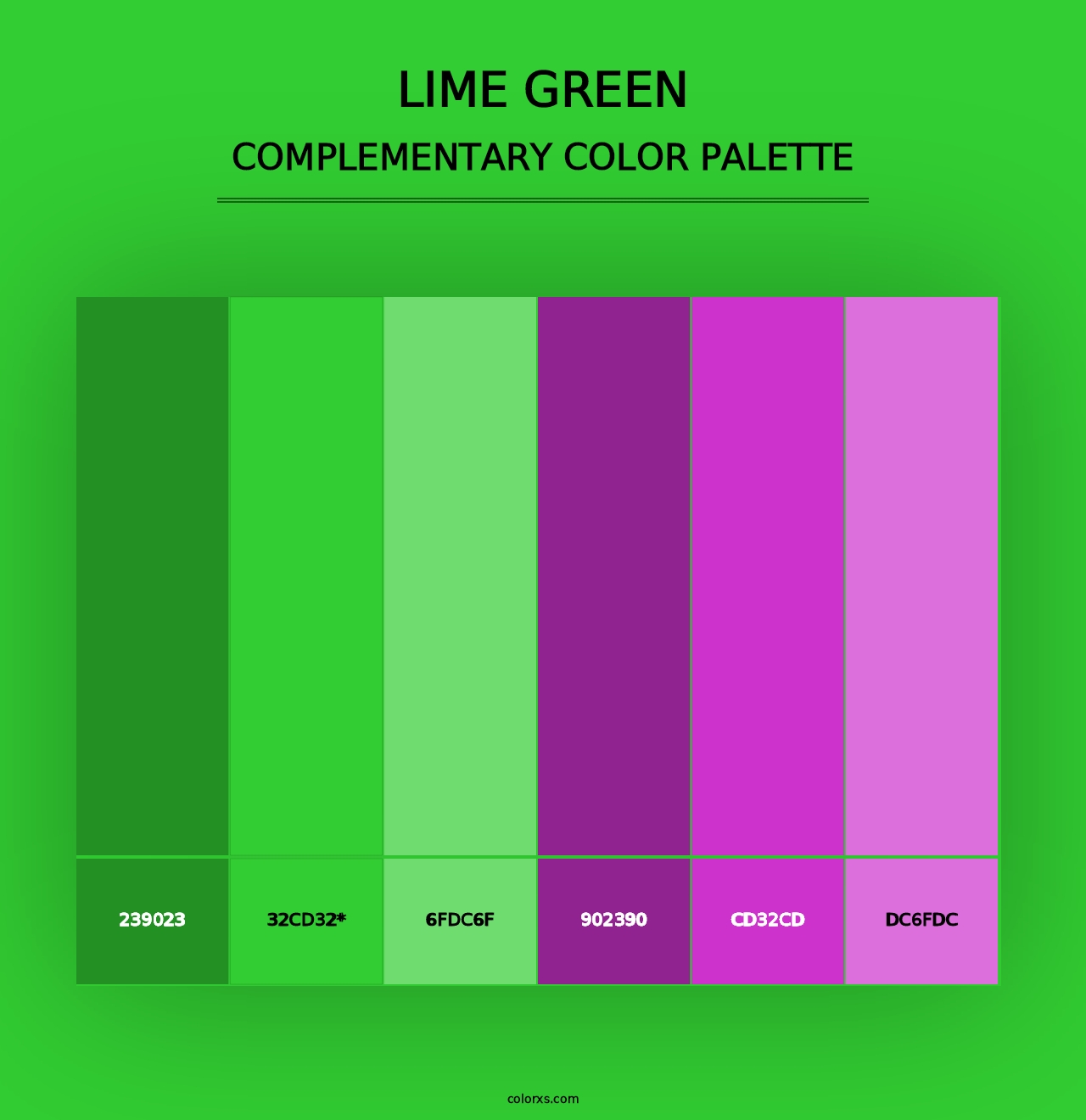 Lime Green - Complementary Color Palette