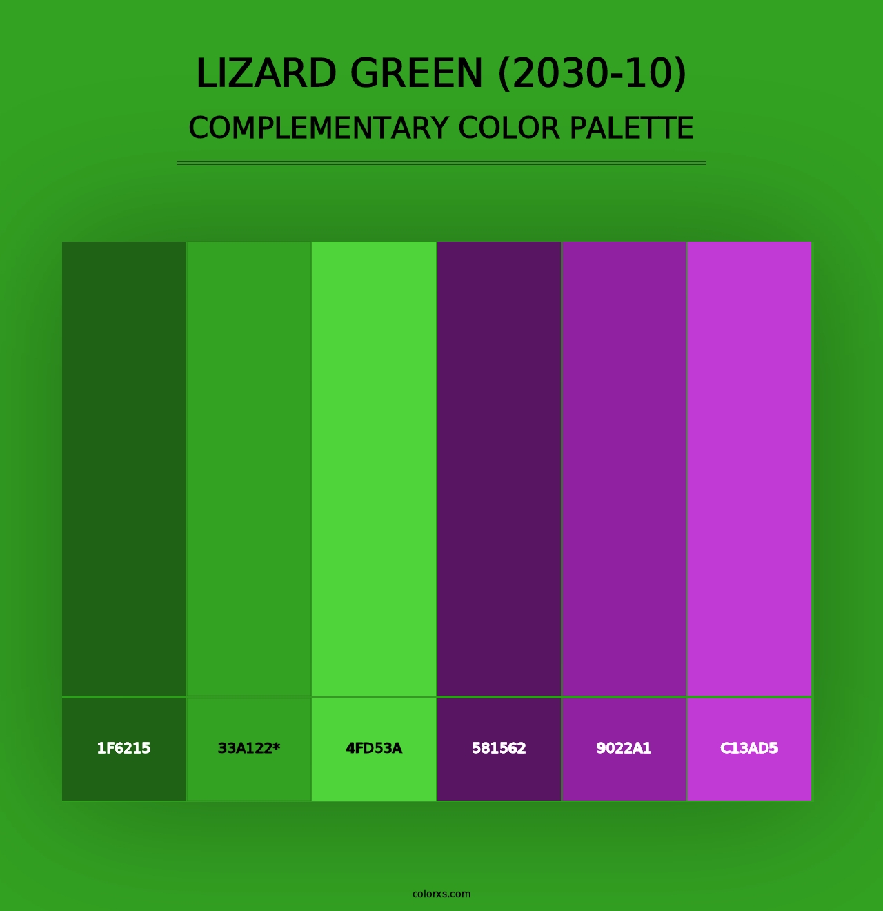 Lizard Green (2030-10) - Complementary Color Palette