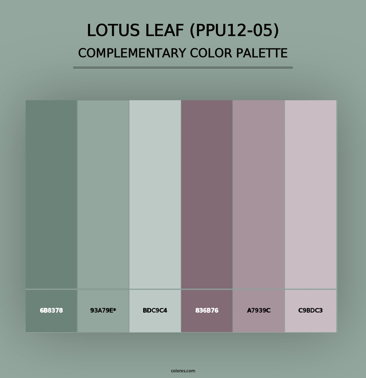 Lotus Leaf (PPU12-05) - Complementary Color Palette