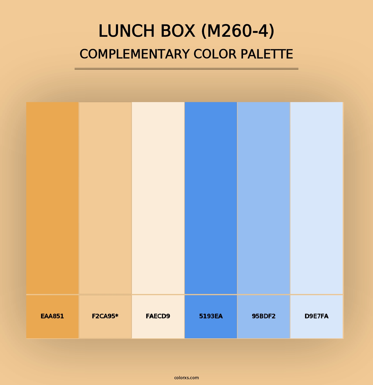 Lunch Box (M260-4) - Complementary Color Palette