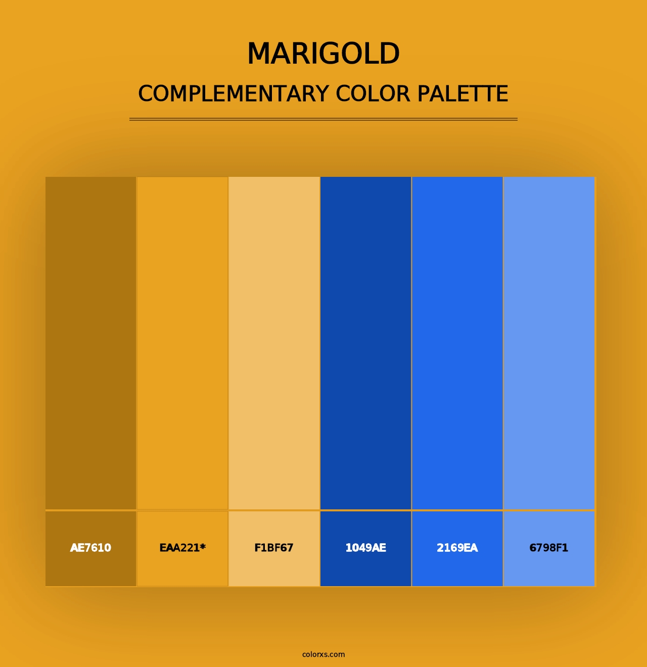 Marigold - Complementary Color Palette