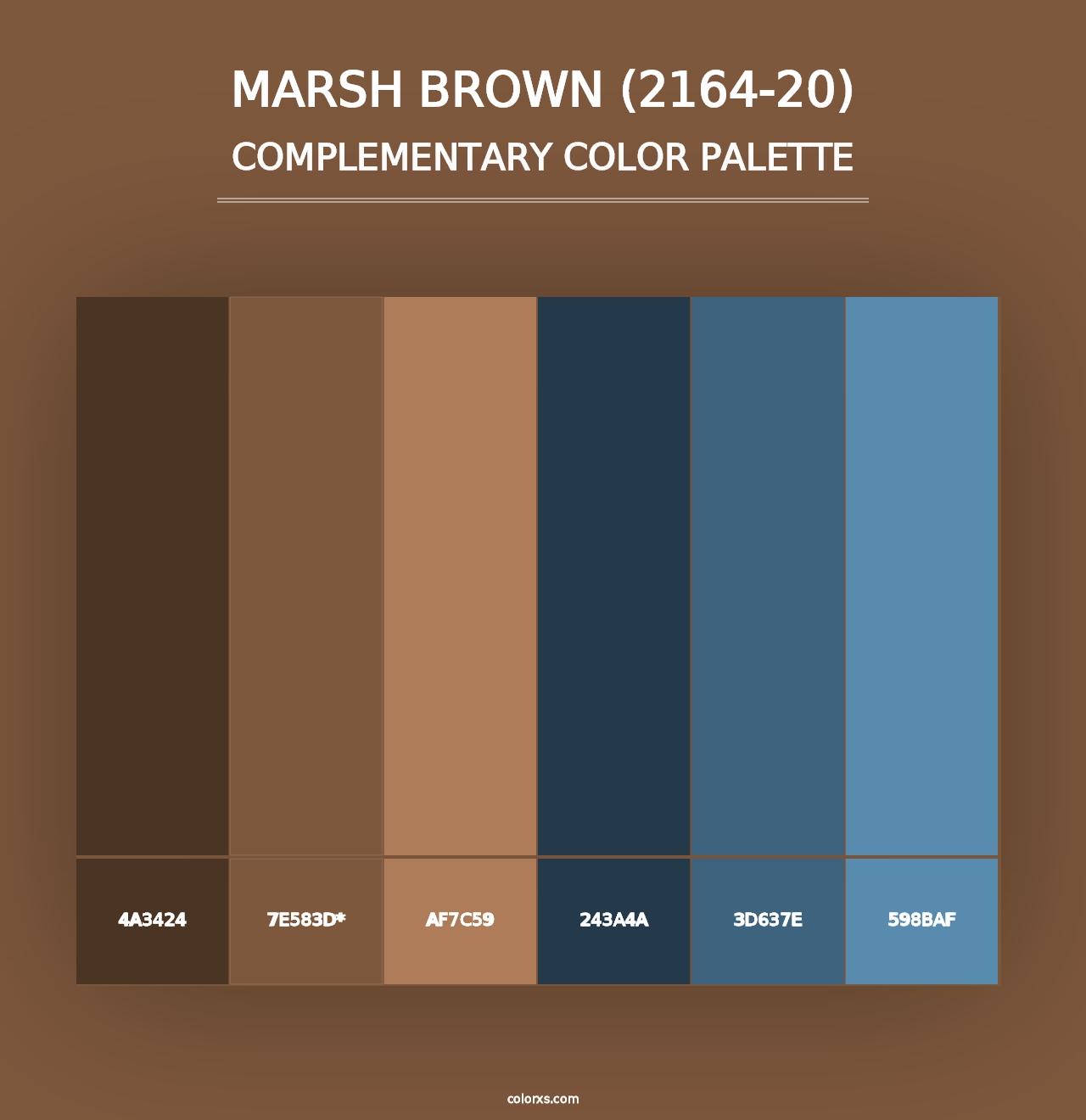 Marsh Brown (2164-20) - Complementary Color Palette