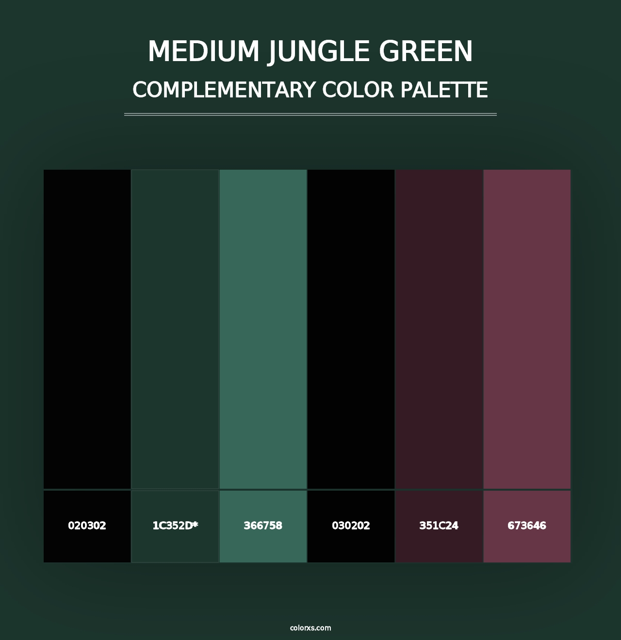 Medium Jungle Green - Complementary Color Palette