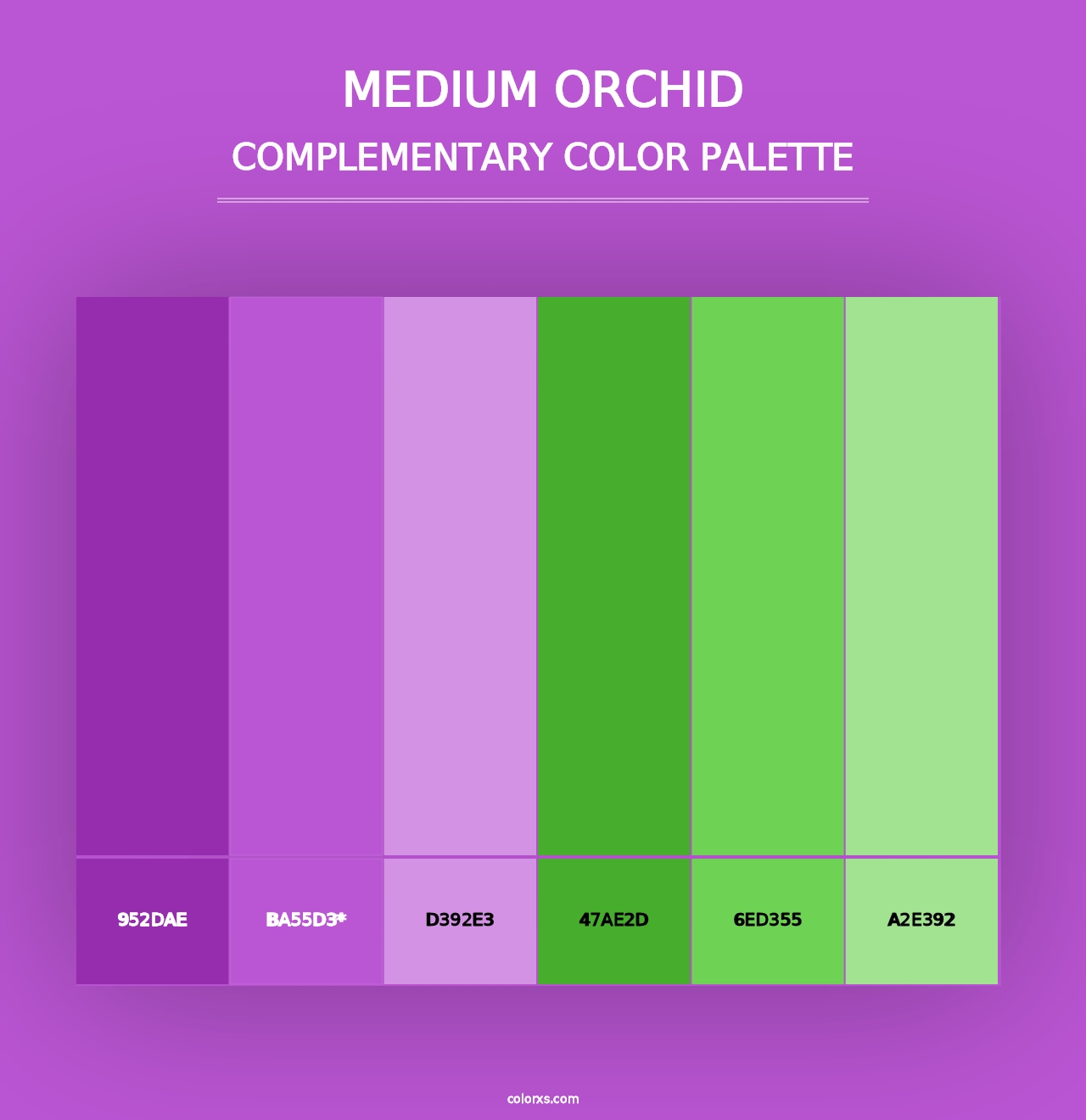 Medium Orchid - Complementary Color Palette