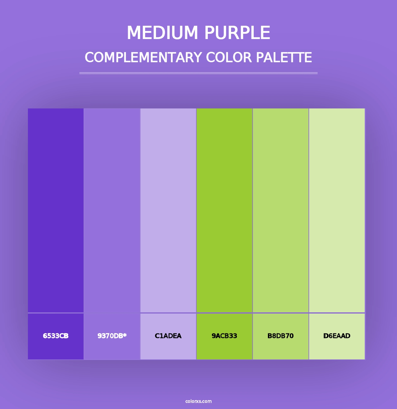 Medium Purple - Complementary Color Palette