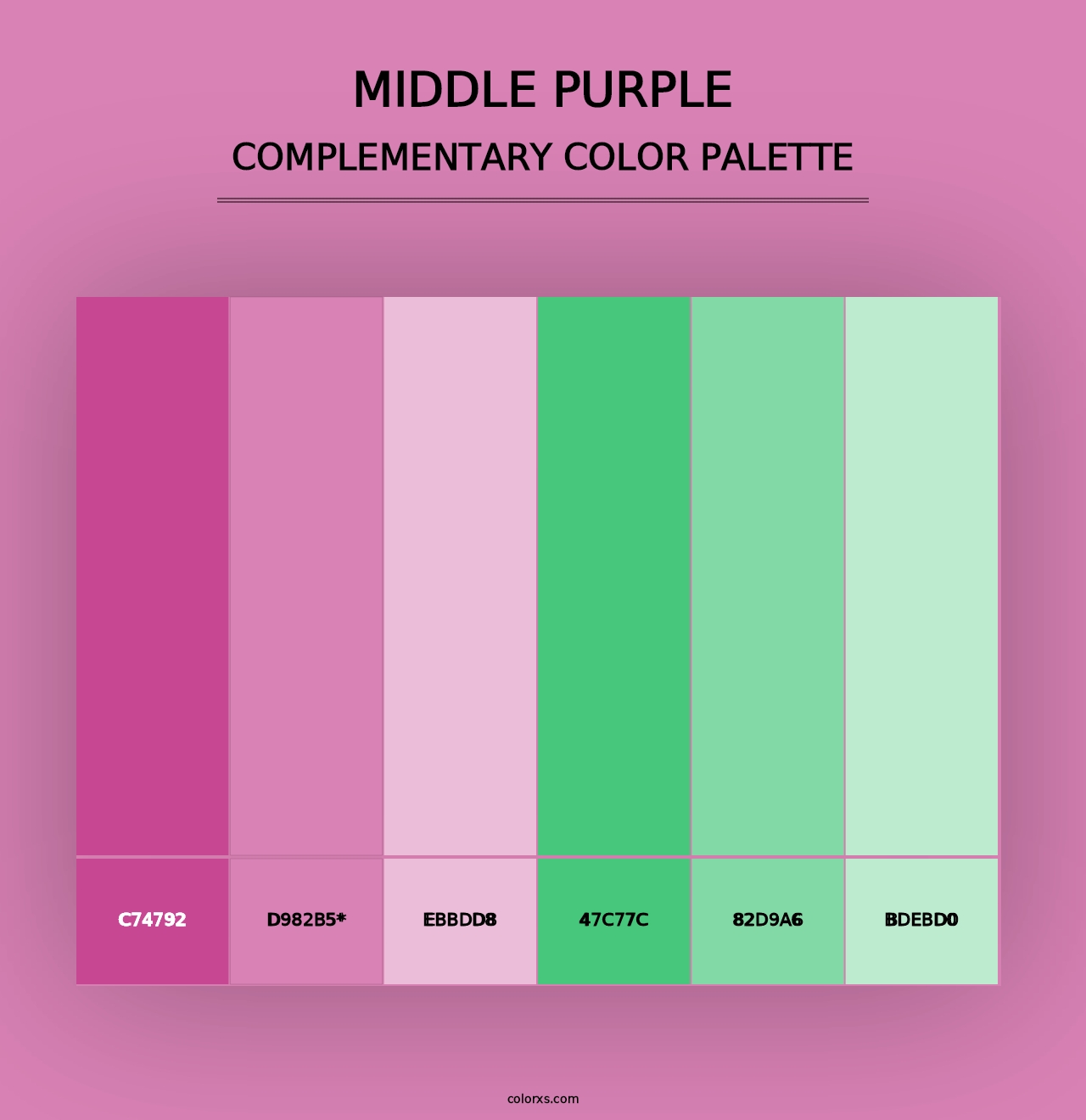 Middle Purple - Complementary Color Palette