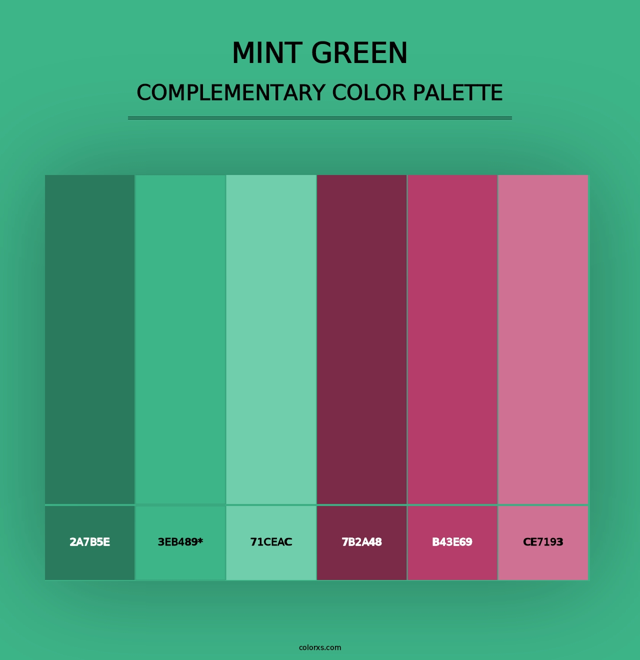 Mint Green - Complementary Color Palette