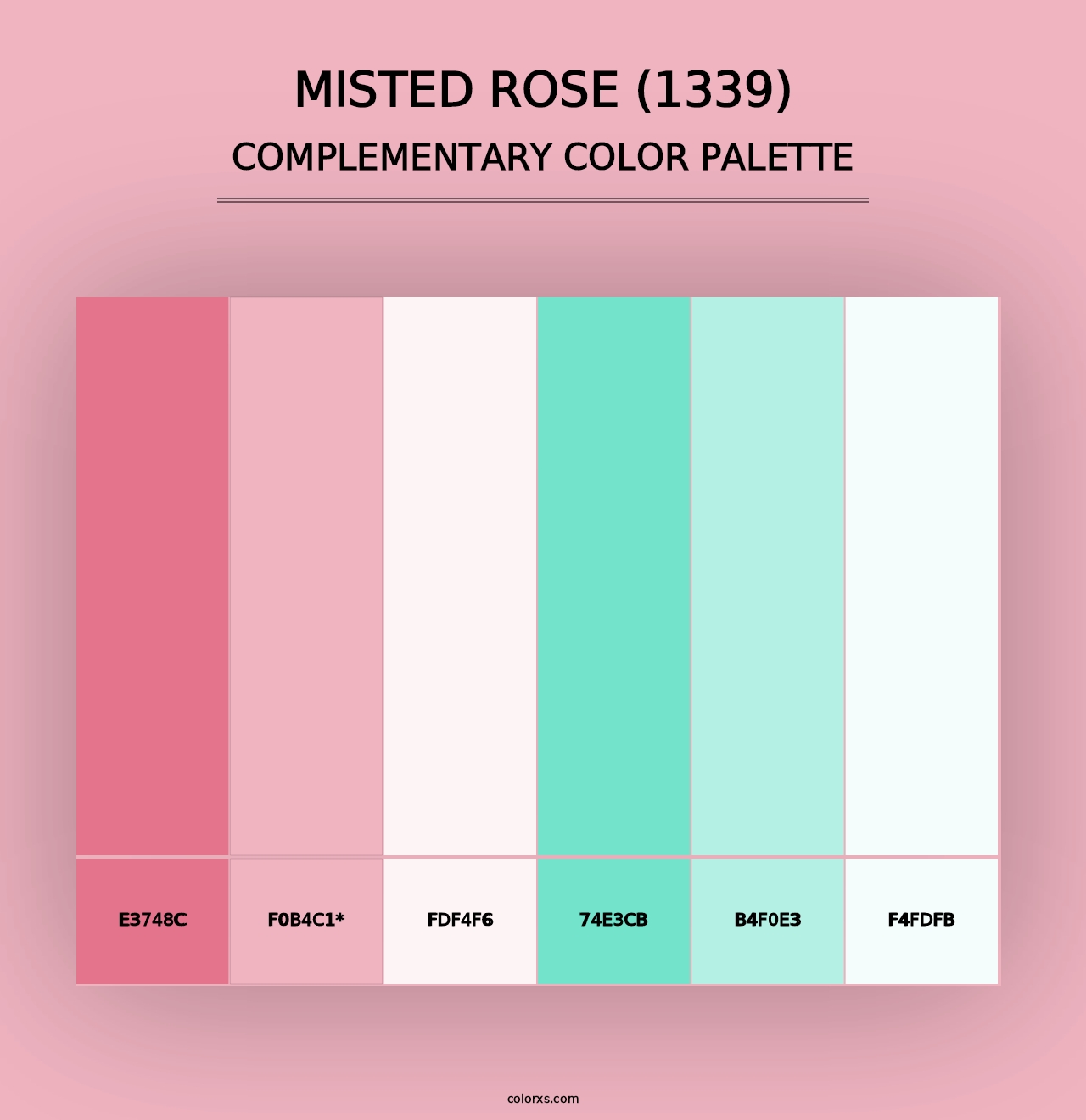 Misted Rose (1339) - Complementary Color Palette