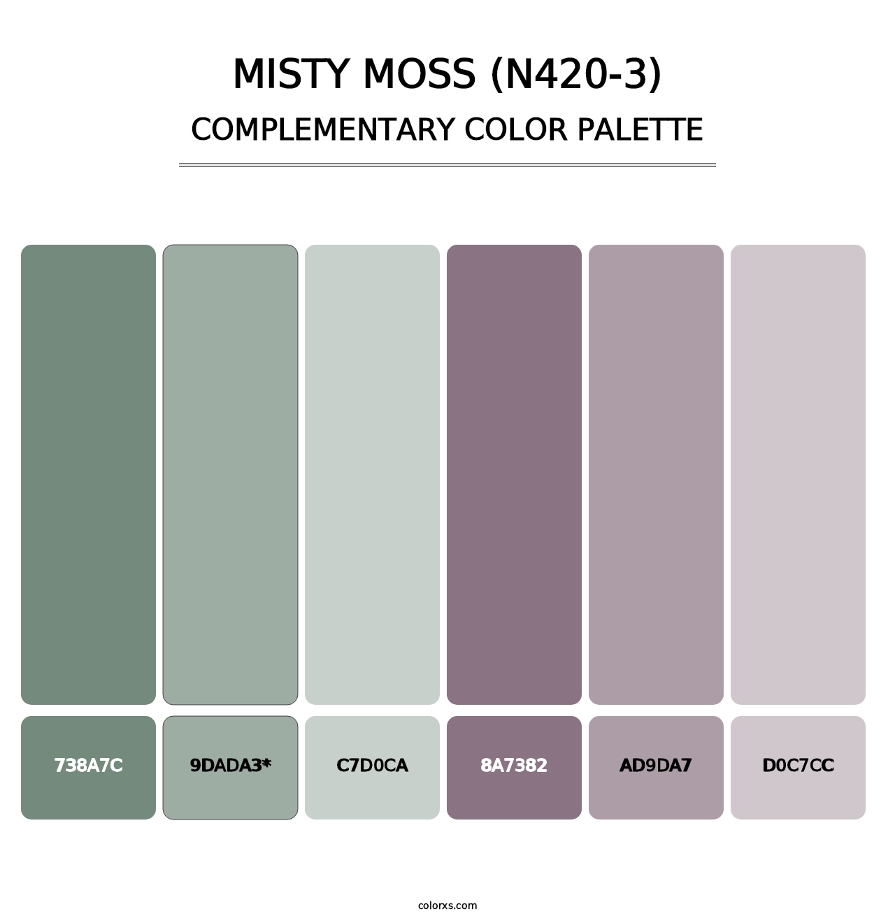 Misty Moss (N420-3) - Complementary Color Palette