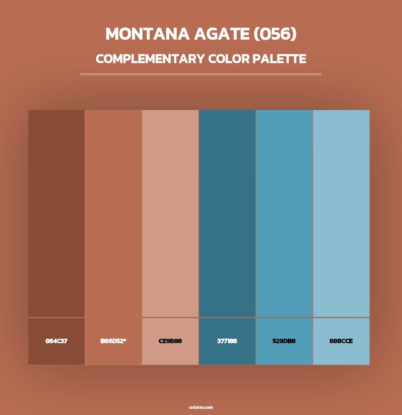 Montana Agate (056) - Complementary Color Palette