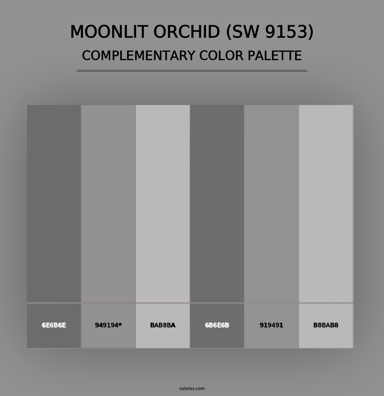 Moonlit Orchid (SW 9153) - Complementary Color Palette