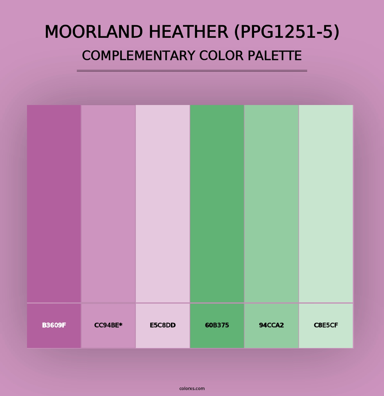 Moorland Heather (PPG1251-5) - Complementary Color Palette