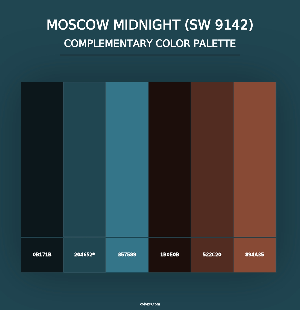 Moscow Midnight (SW 9142) - Complementary Color Palette