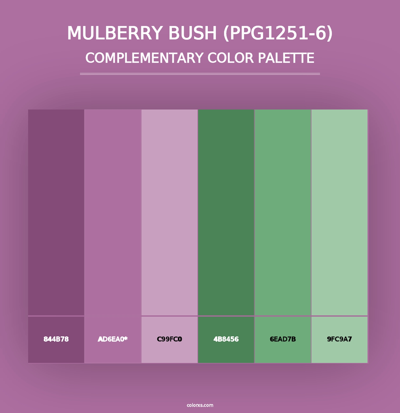 Mulberry Bush (PPG1251-6) - Complementary Color Palette