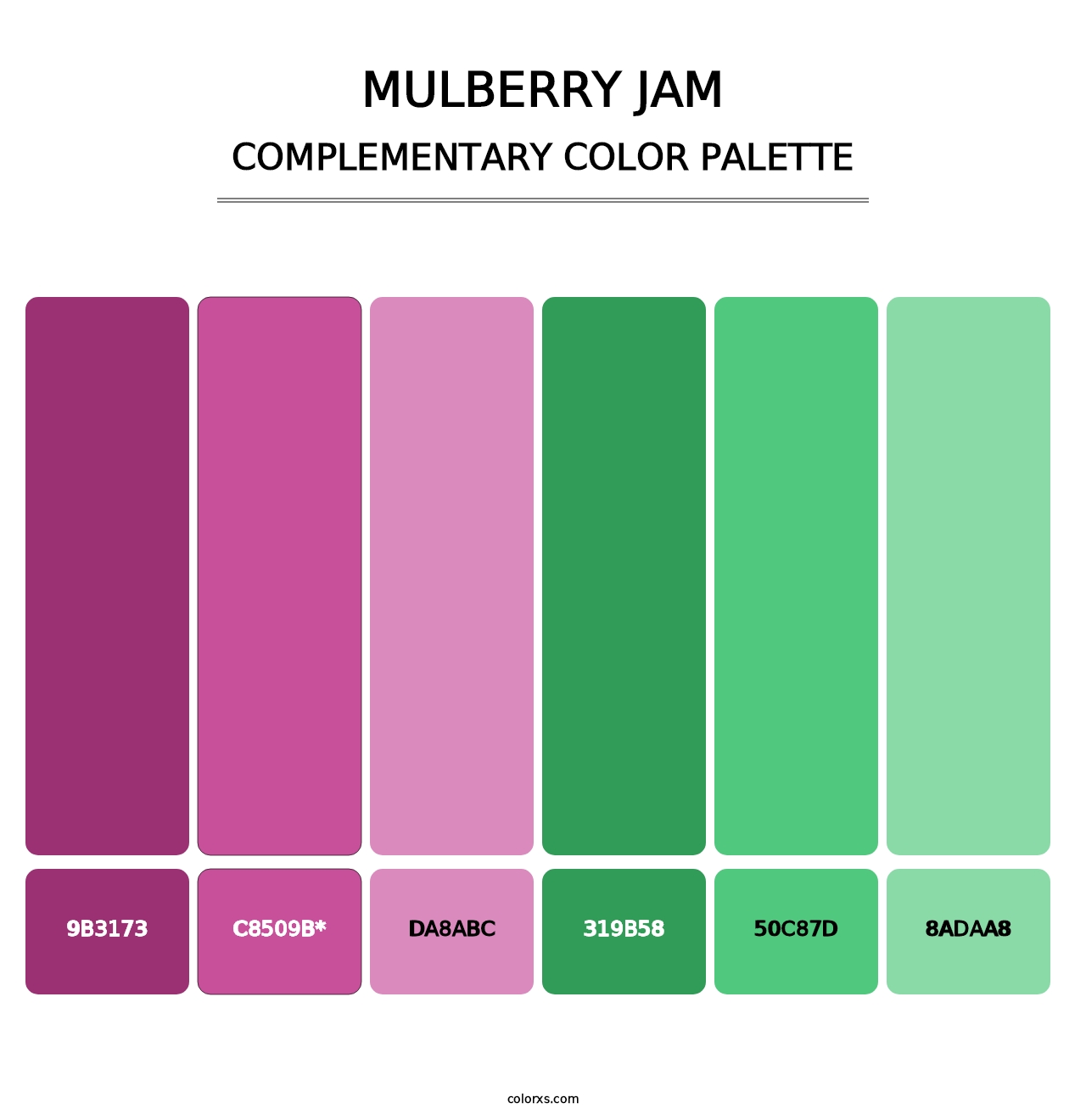 Mulberry Jam - Complementary Color Palette