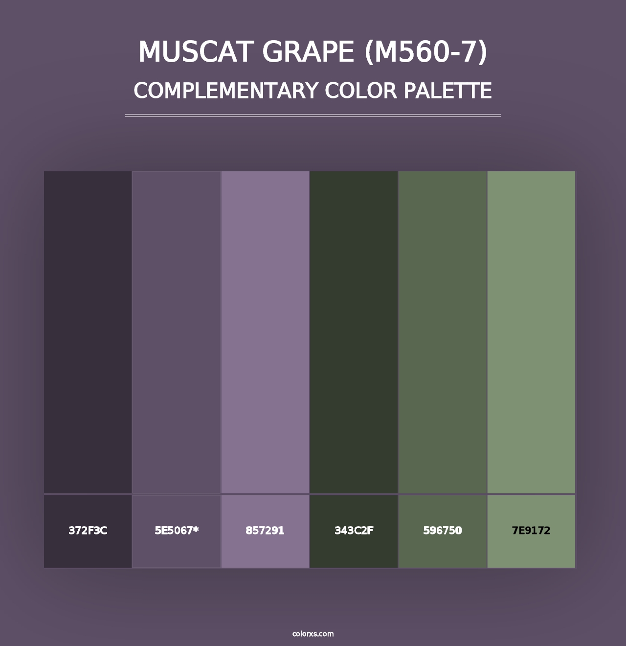 Muscat Grape (M560-7) - Complementary Color Palette