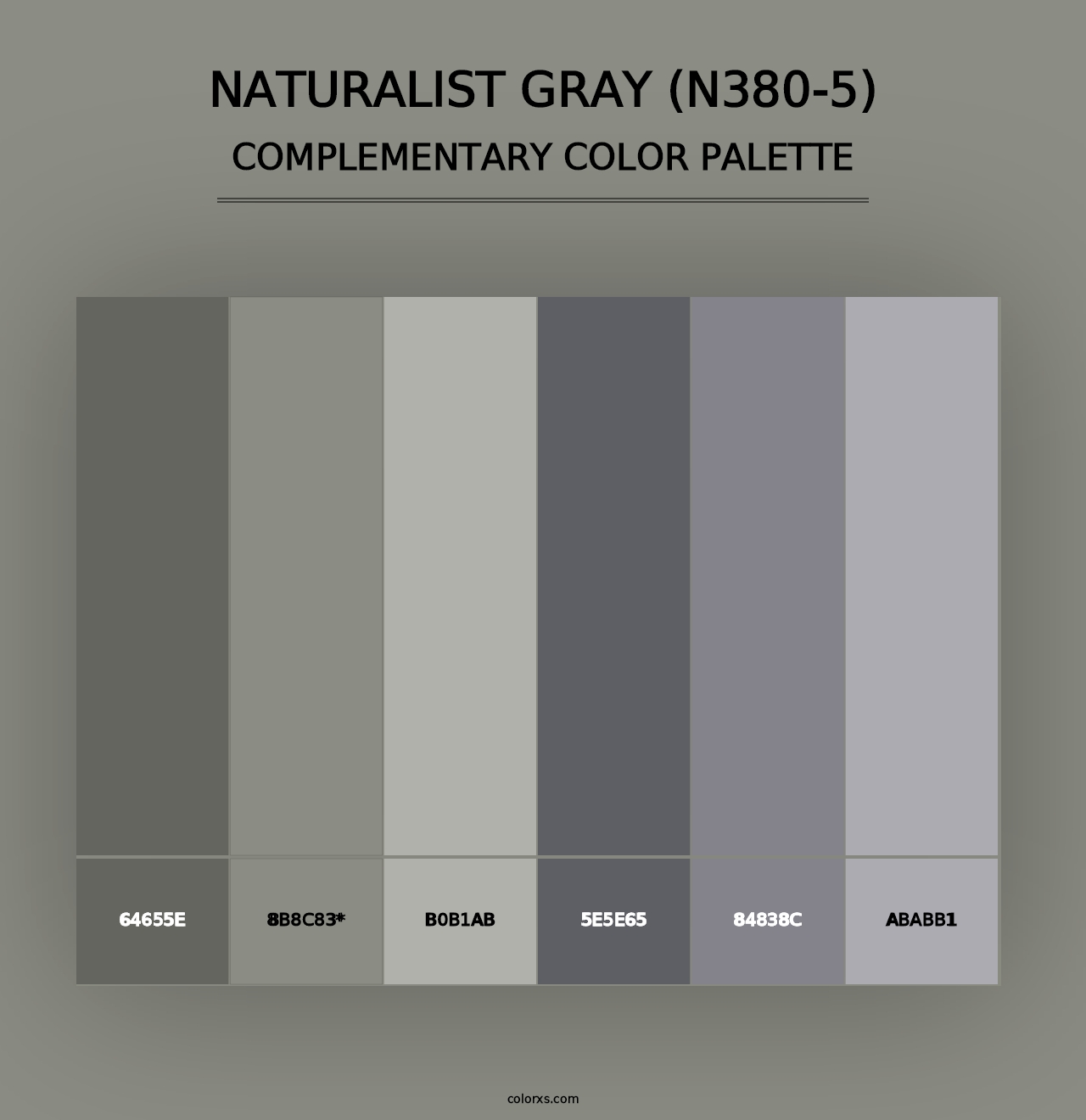 Naturalist Gray (N380-5) - Complementary Color Palette