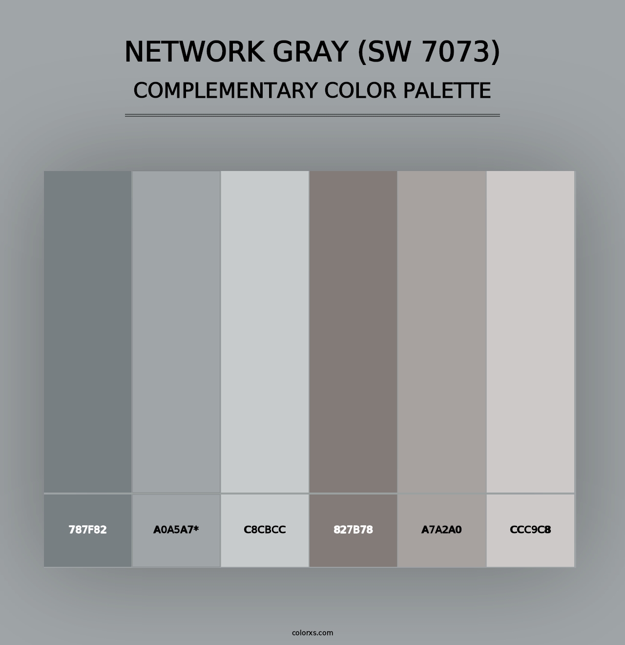 Network Gray (SW 7073) - Complementary Color Palette