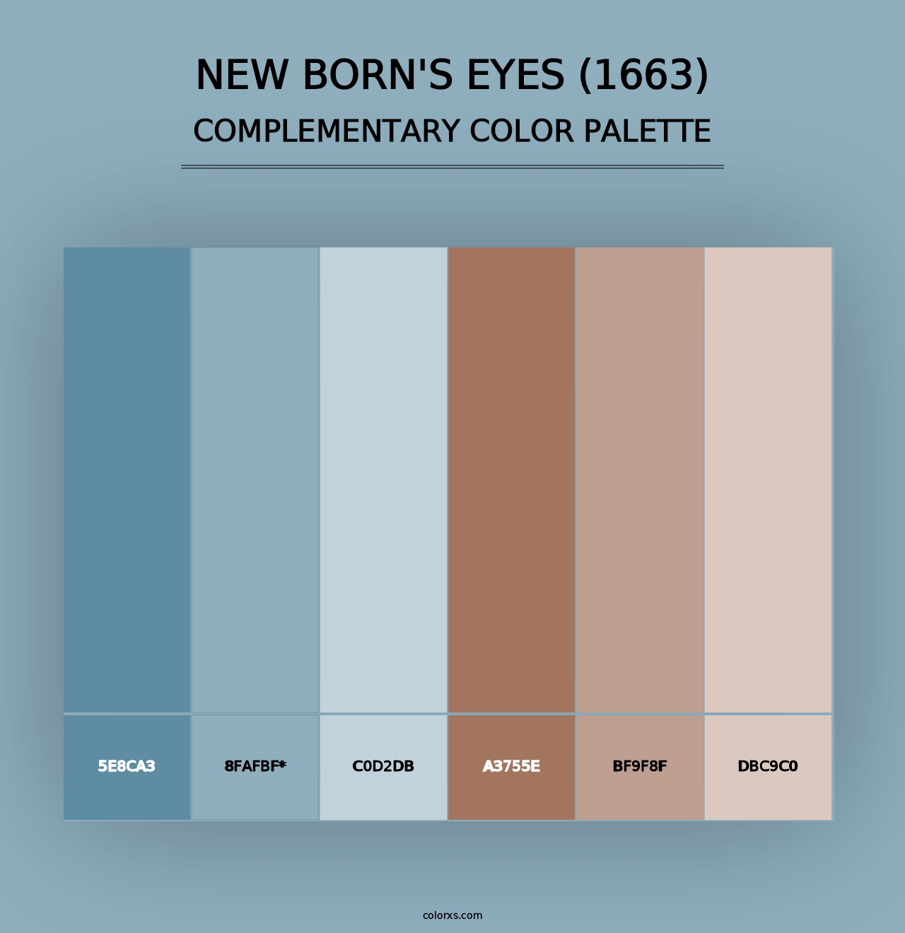 New Born's Eyes (1663) - Complementary Color Palette