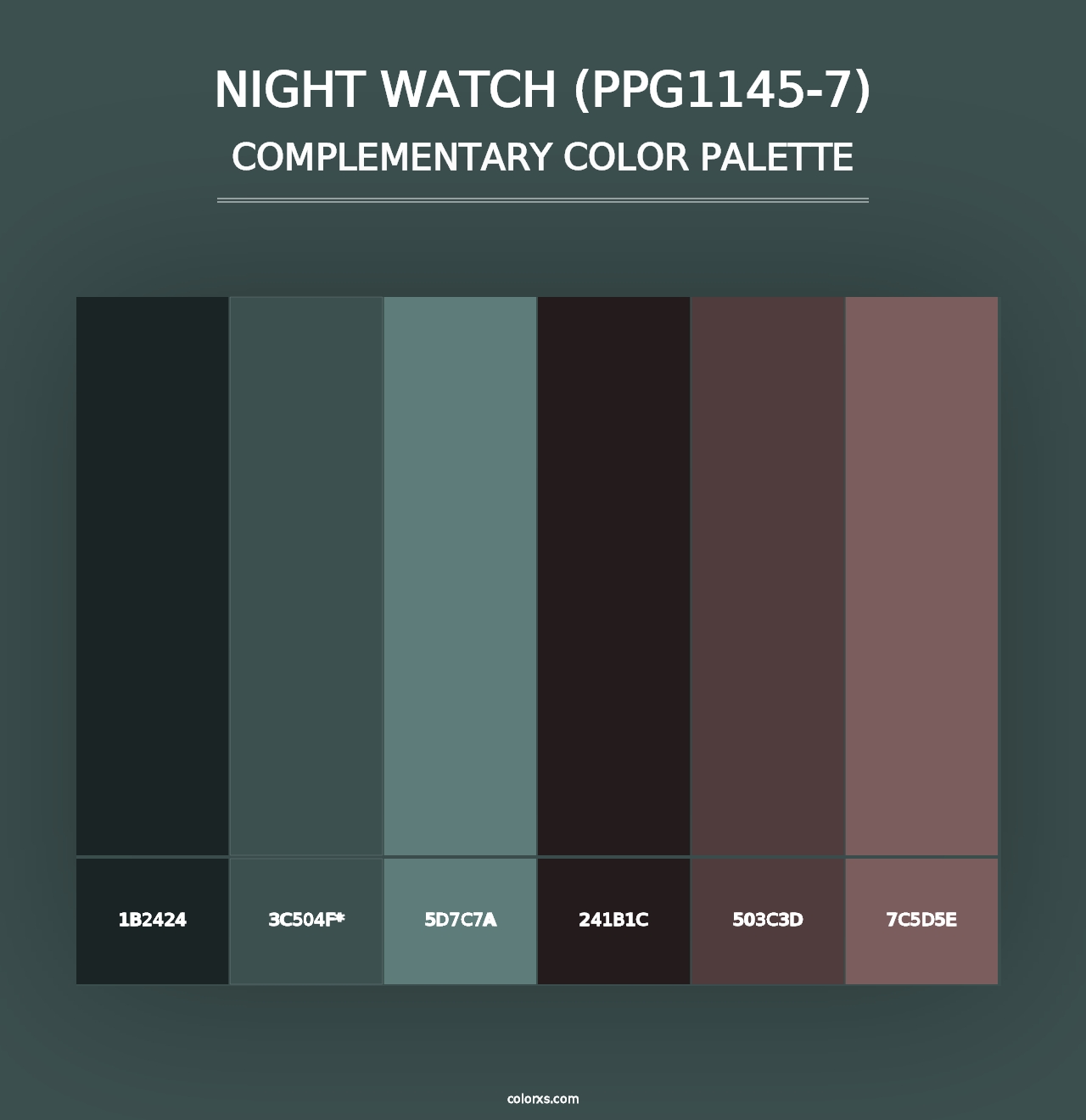 Night Watch (PPG1145-7) - Complementary Color Palette