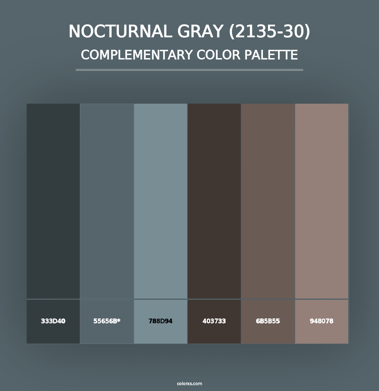 Nocturnal Gray (2135-30) - Complementary Color Palette