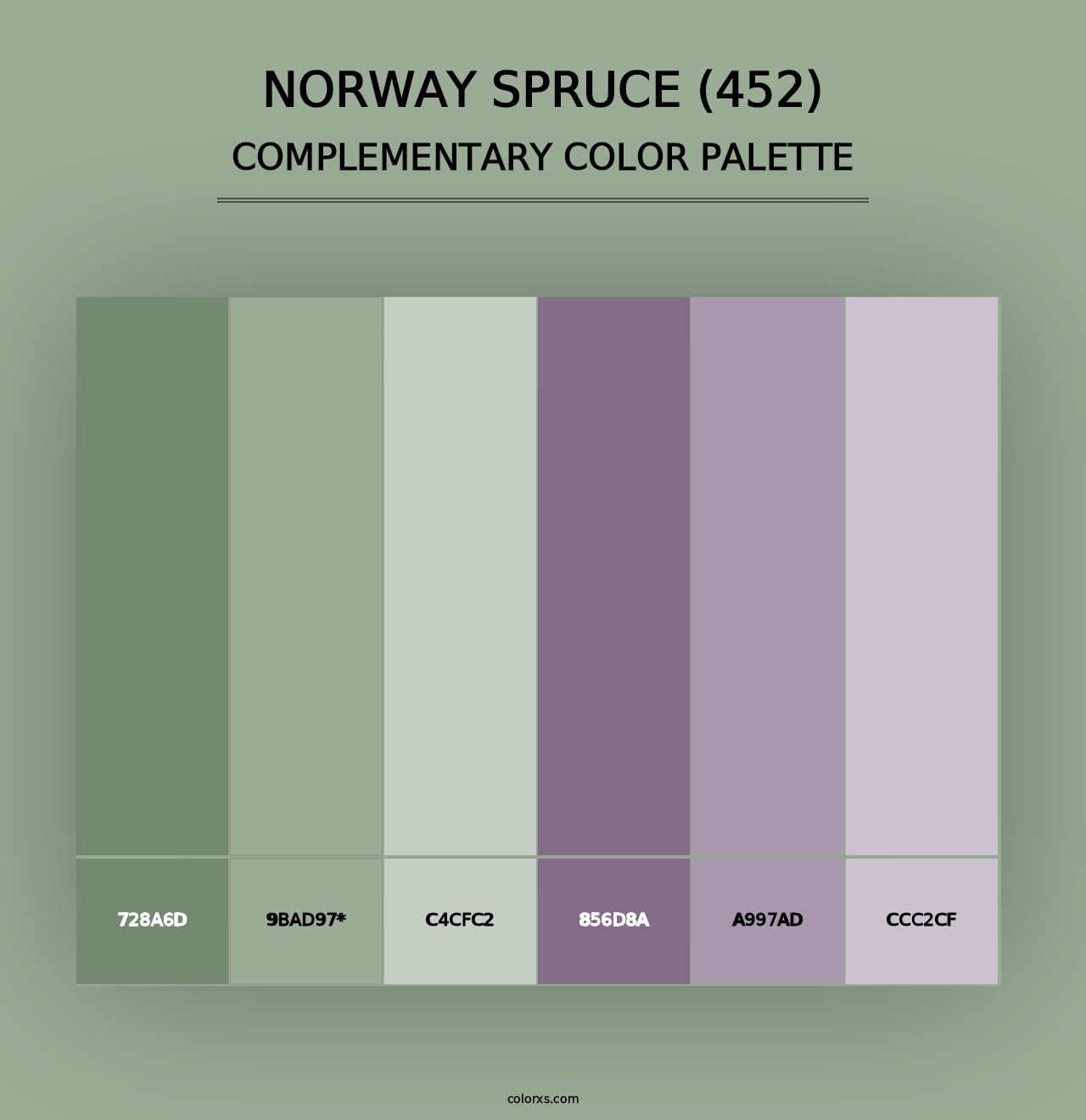 Norway Spruce (452) - Complementary Color Palette