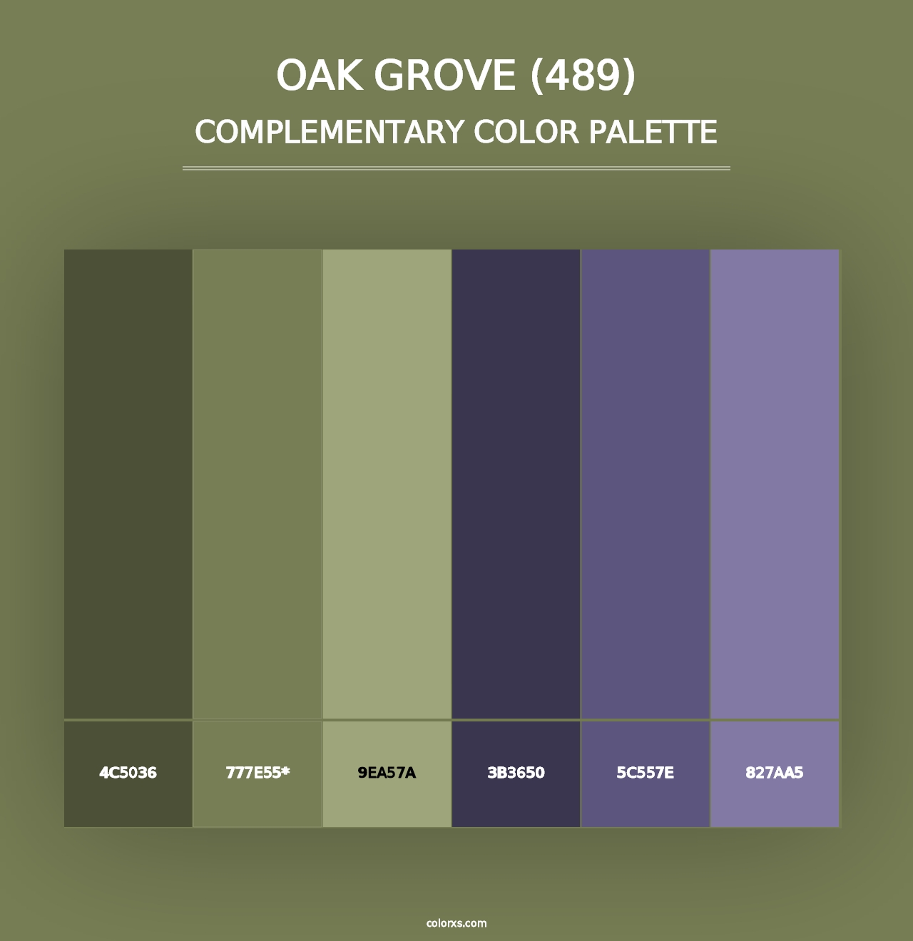 Oak Grove (489) - Complementary Color Palette