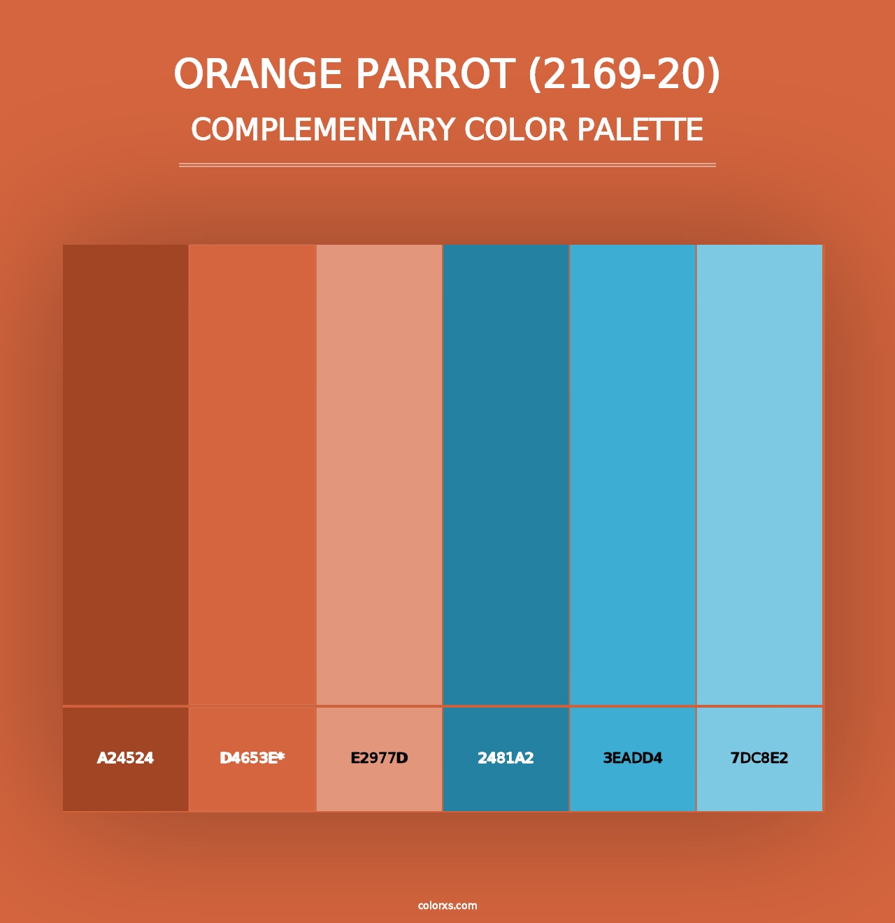 Orange Parrot (2169-20) - Complementary Color Palette