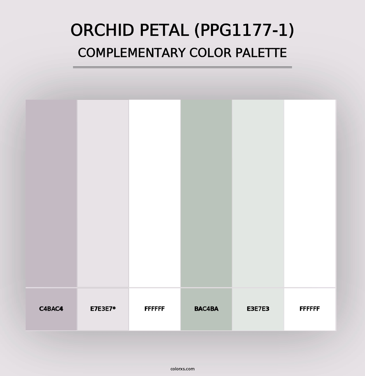 Orchid Petal (PPG1177-1) - Complementary Color Palette