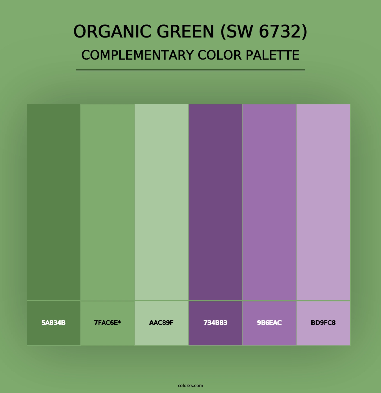 Organic Green (SW 6732) - Complementary Color Palette