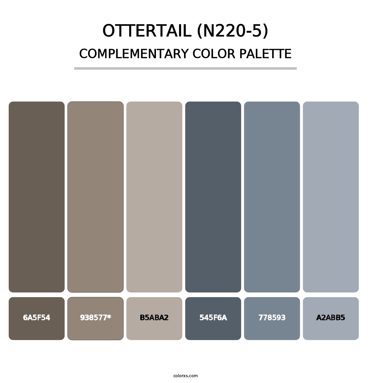 Ottertail (N220-5) - Complementary Color Palette